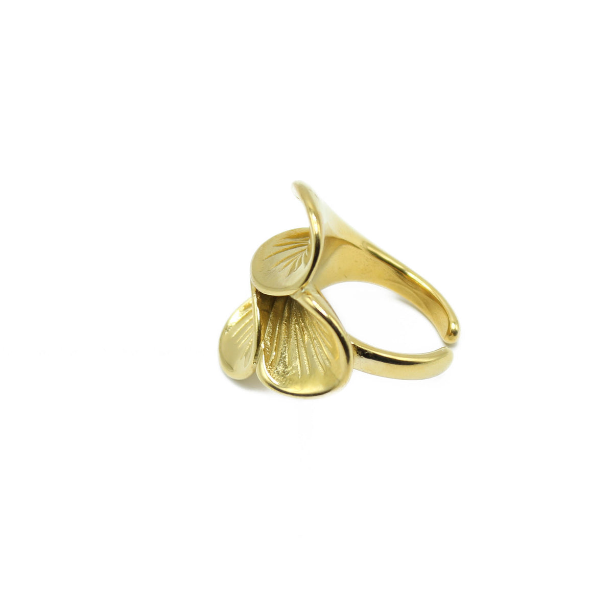Anello Biloba