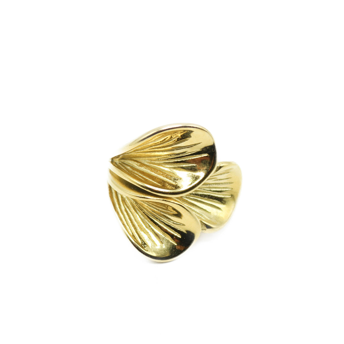 Anello Biloba